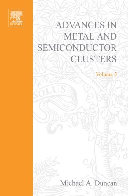 M.A. Duncan - Advances in Metal and Semiconductor Clusters, E-bok