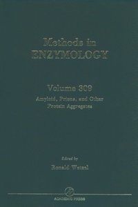 Amyloid, Prions, and Other Protein Aggregates