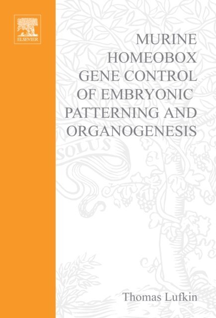 Thomas Lufkin - Murine Homeobox Gene Control of Embryonic Patterning and Organogenesis, E-bok