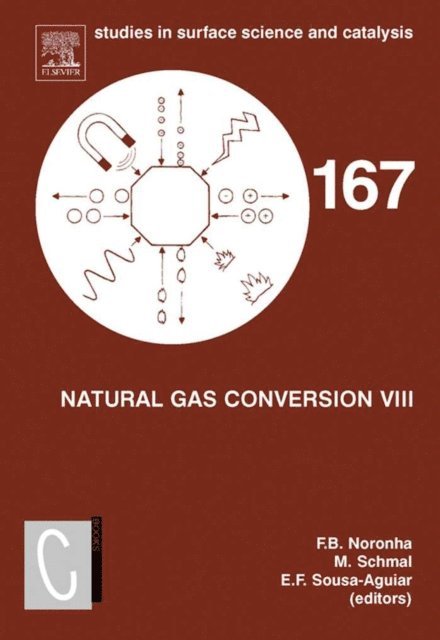 Eduardo Falabella Sousa-Aguiar, Martin Schmal, Fabio Bellot Noronha - Natural Gas Conversion VIII, E-bok