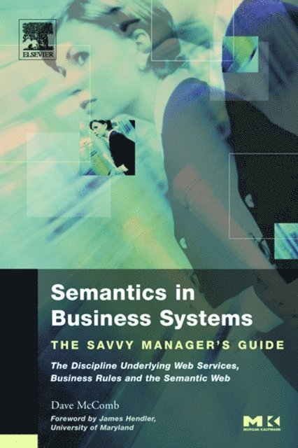Dave McComb - Semantics in Business Systems, E-bok