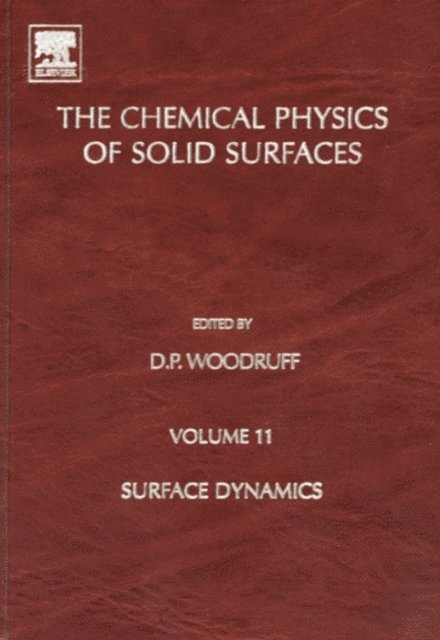 Surface Dynamics, E-bok