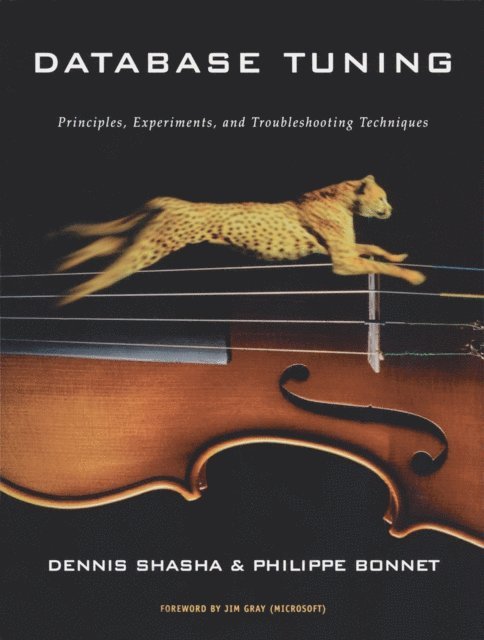 Philippe Bonnet, Dennis Shasha - Database Tuning, E-bok