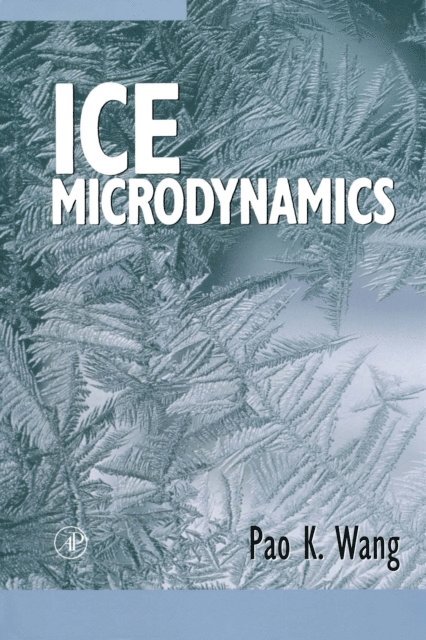 Pao K. Wang - Ice Microdynamics, E-bok