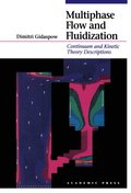 Multiphase Flow and Fluidization