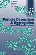 Particle Deposition and Aggregation