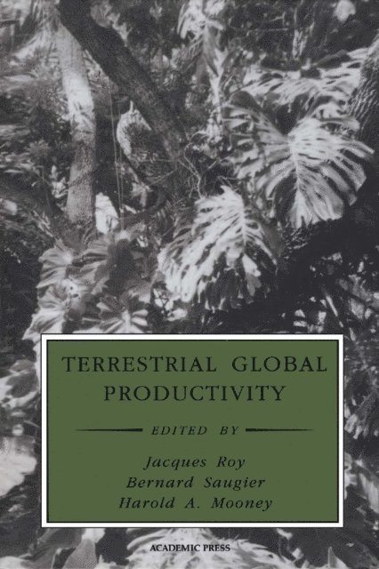 Bernard Saugier, Harold A. Mooney, Jacques Roy - Terrestrial Global Productivity, E-bok