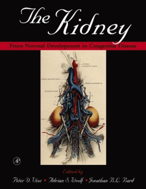 Jonathan B.L. Bard, Adrian S. Woolf, Peter D. Vize - Kidney, E-bok
