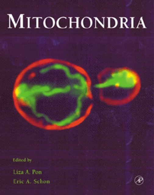 Mitochondria, E-bok