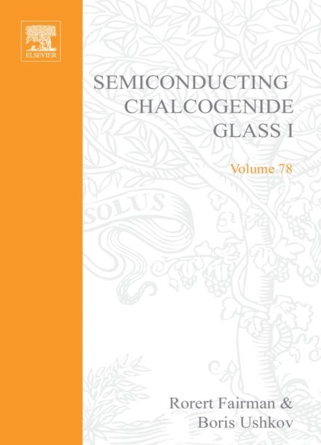 Boris Ushkov, Robert Fairman - Semiconducting Chalcogenide Glass I, E-bok