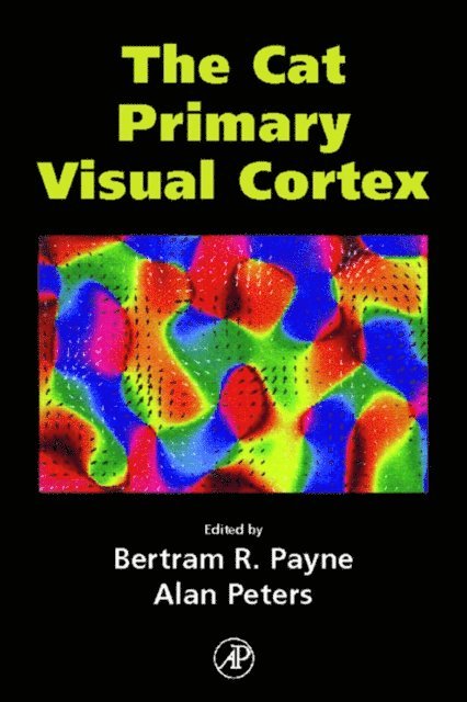 Alan Peters, Bertram Payne - Cat Primary Visual Cortex, E-bok