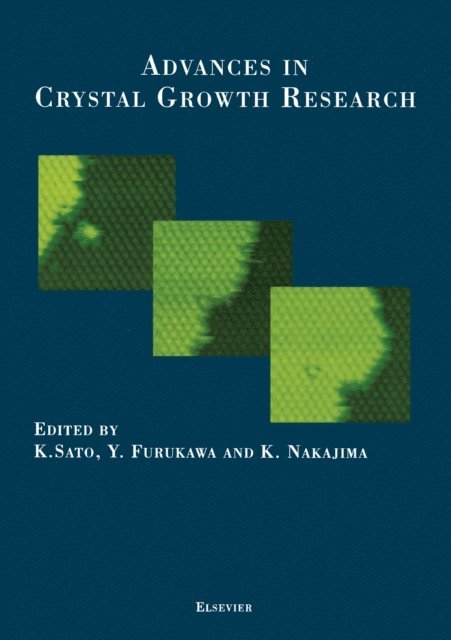 K. Nakajima, Y. Furukawa, K. Sato - Advances in Crystal Growth Research, E-bok