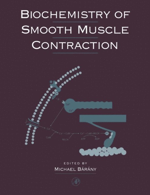 Michael Barany - Biochemistry of Smooth Muscle Contraction, E-bok. Tillgänglighet: Lägg i varukorg