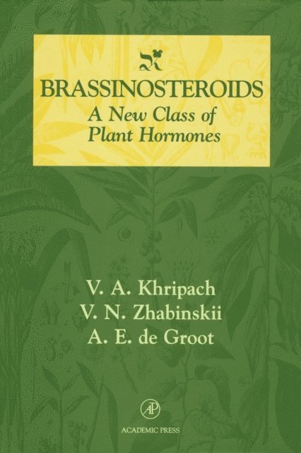 A. E. de Groot, V. N. Zhabinskii, V. A. Khripach - Brassinosteroids, E-bok