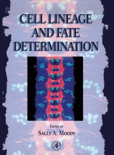 Sally A. Moody - Cell Lineage and Fate Determination, E-bok