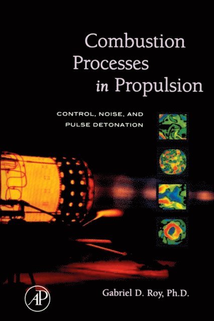 Gabriel Roy - Combustion Processes in Propulsion, E-bok