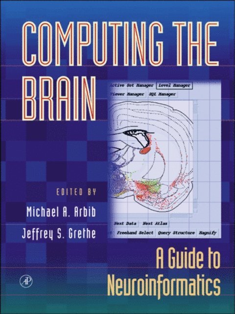 Jeffrey S. Grethe, Michael A. Arbib - Computing the Brain, E-bok