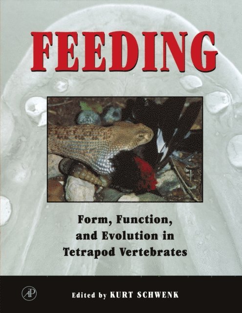 Feeding