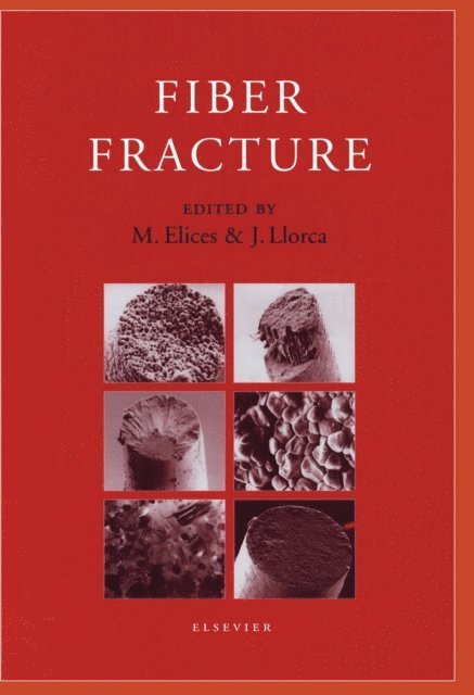 J. Llorca, M. Elices - Fiber Fracture, E-bok