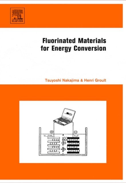 Henri Groult, Tsuyoshi Nakajima - Fluorinated Materials for Energy Conversion, E-bok