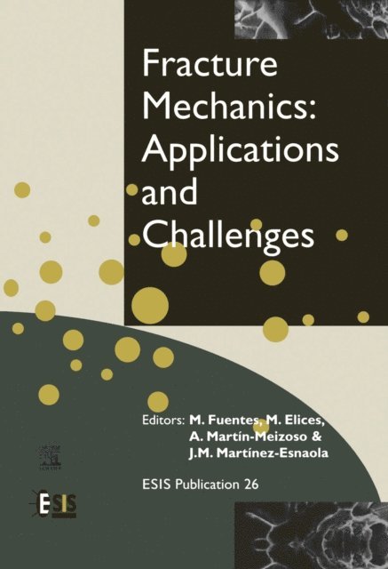 J.-M. Martinez-Esnaola, A. Martin-Meizoso, M. Elices, M. Fuentes - Fracture Mechanics: Applications and Challenges, E-bok