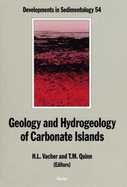 Terrence M. Quinn, Leonard H.L. Vacher - Geology and hydrogeology of carbonate islands, E-bok
