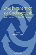 Liver Regeneration and Carcinogenesis