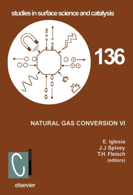 J.J. Spivey, Enrique Iglesia, T.H. Fleisch - Natural Gas Conversion VI, E-bok