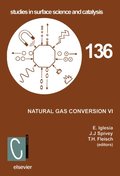 Natural Gas Conversion VI