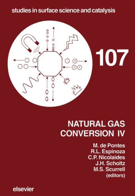 M.S. Scurrell, J.H. Scholtz, C.P. Nicolaides, R.L. Espinoza, M. de Pontes - Natural Gas Conversion IV, E-bok