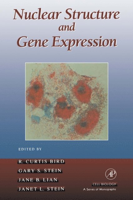 Janet L. Stein, Jane B. Lian, Wilfred D. Stein, J.R Bird - Nuclear Structure and Gene Expression, E-bok