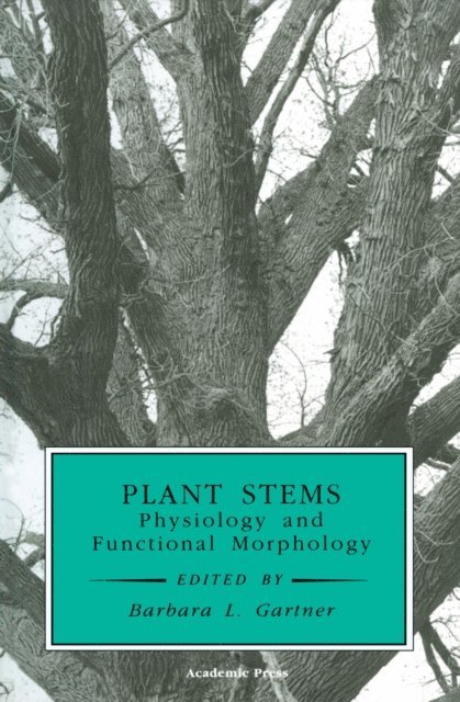 Plant Stems, E-bok