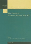 Primate Nervous System, Part III