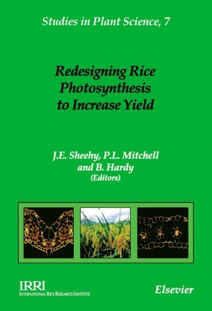B. Hardy, P.L. Mitchell, J.E. Sheehy - Redesigning Rice Photosynthesis to Increase Yield, E-bok