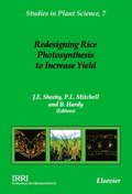 Redesigning Rice Photosynthesis to Increase Yield
