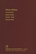 Silicon Epitaxy