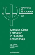 Stimulus Class Formation in Humans and Animals