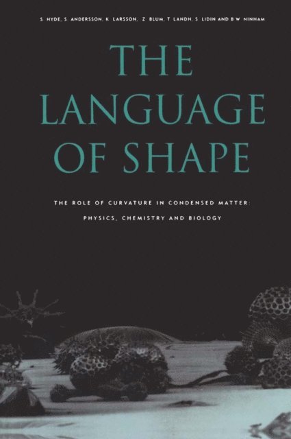 K. Larsson, S. Andersson, B.W. Ninham, S. Lidin, T. Landh, Z. Blum, S. Hyde - Language of Shape, E-bok