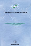 Many Faces of RNA