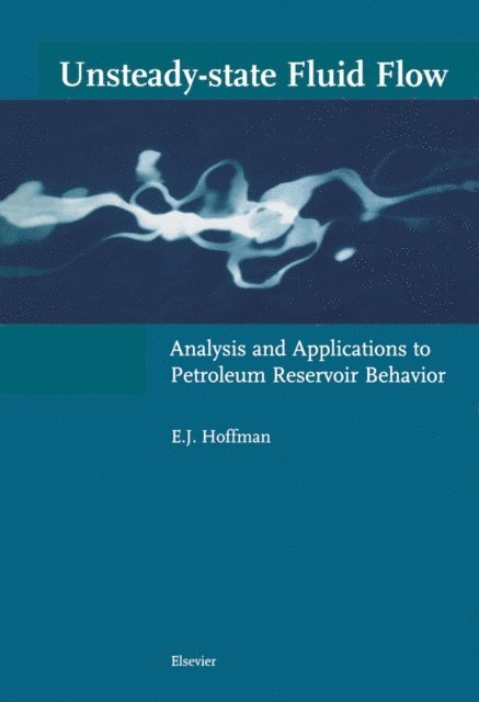 E.J. Hoffman - Unsteady-state Fluid Flow, E-bok