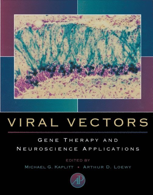Arthur D. Loewy, Michael G. Kaplitt - Viral Vectors, E-bok