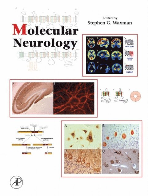 Stephen Waxman - Molecular Neurology, E-bok. Tillgänglighet: Lägg i varukorg