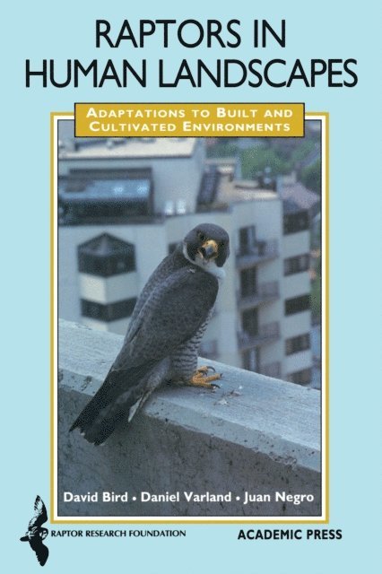 Juan Jose Negro, Daniel E. Varland, David M. Bird - Raptors in Human Landscapes, E-bok