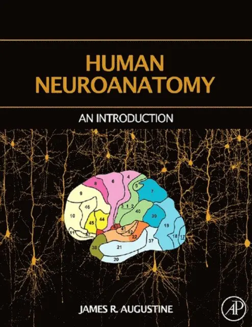 James R. Augustine - Human Neuroanatomy, E-bok. Tillgänglighet: Lägg i varukorg