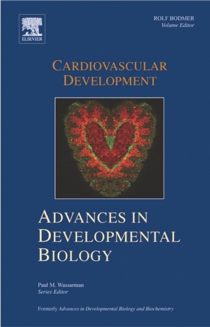 Cardiovascular Development, E-bok