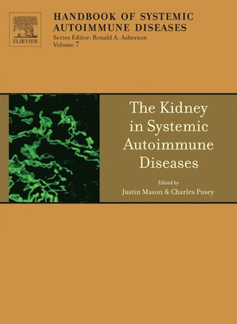 Charles Pusey, Justin C Mason - Kidney in Systemic Autoimmune Diseases, E-bok