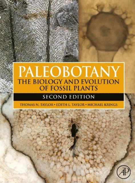 Michael Krings, Thomas N. Taylor, Edith L. Taylor - Paleobotany, E-bok. Tillgänglighet: Lägg i varukorg