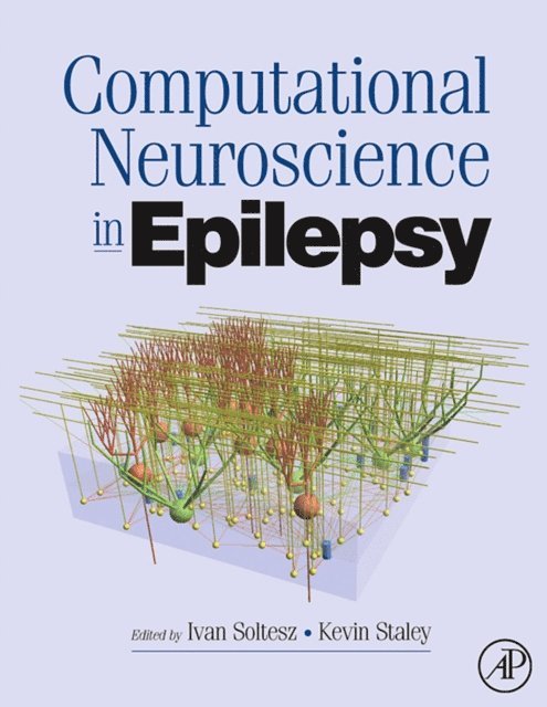 Kevin Staley, Ivan Soltesz - Computational Neuroscience in Epilepsy, E-bok. Tillgänglighet: Lägg i varukorg