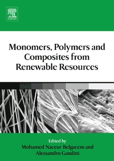 Alessandro Gandini, Mohamed Naceur Belgacem - Monomers, Polymers and Composites from Renewable Resources, E-bok