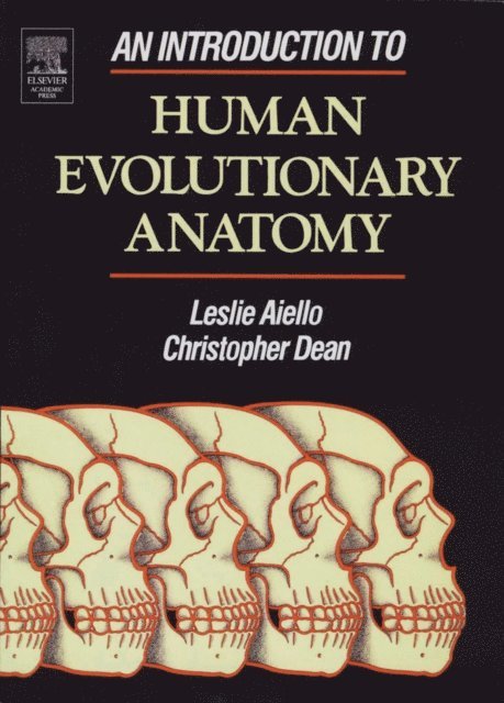 Christopher Dean, Leslie Aiello - Introduction to Human Evolutionary Anatomy, E-bok